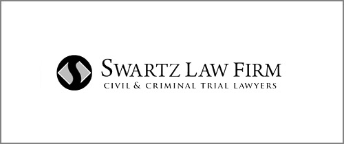 Director law firm logo